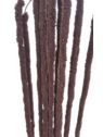 AMARANTUS PLUSZOWY ZWIS 160CM CHOCOLATE