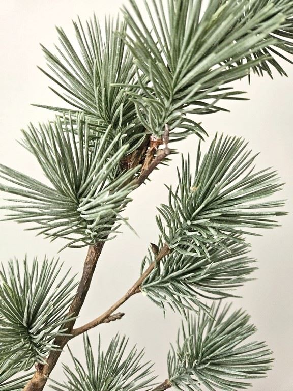 MODRZEW GAŁĄZKA ŚWIĄTECZNA 108CM POWDER GREEN