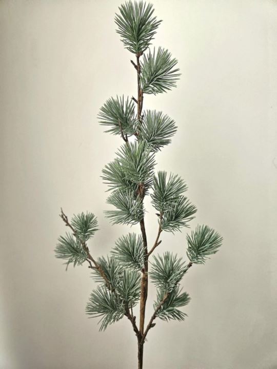 MODRZEW GAŁĄZKA ŚWIĄTECZNA 80CM POWDER GREEN