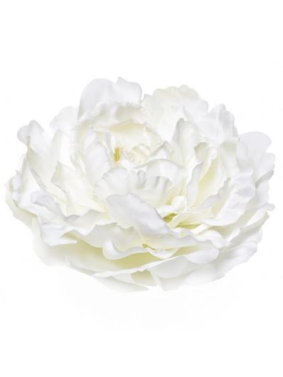 PEONIA GŁOWA 17CM ART060 WHITE GREEN