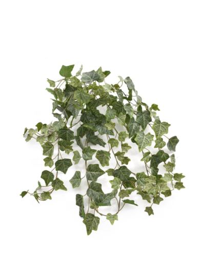 BLUSZCZ HEDERA 80CM HED2001 RT POWDER GREEN