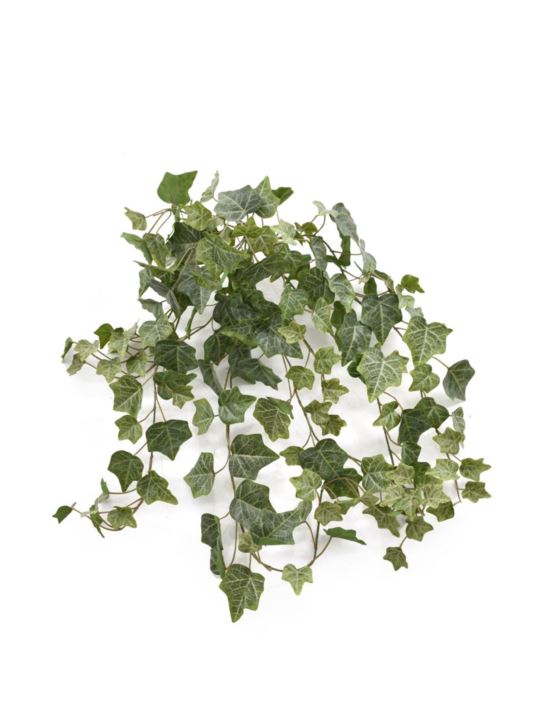 BLUSZCZ HEDERA 80CM HED2001 RT POWDER GREEN