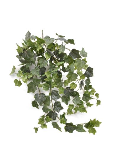 BLUSZCZ HEDERA 80CM HED2001 RT GREEN