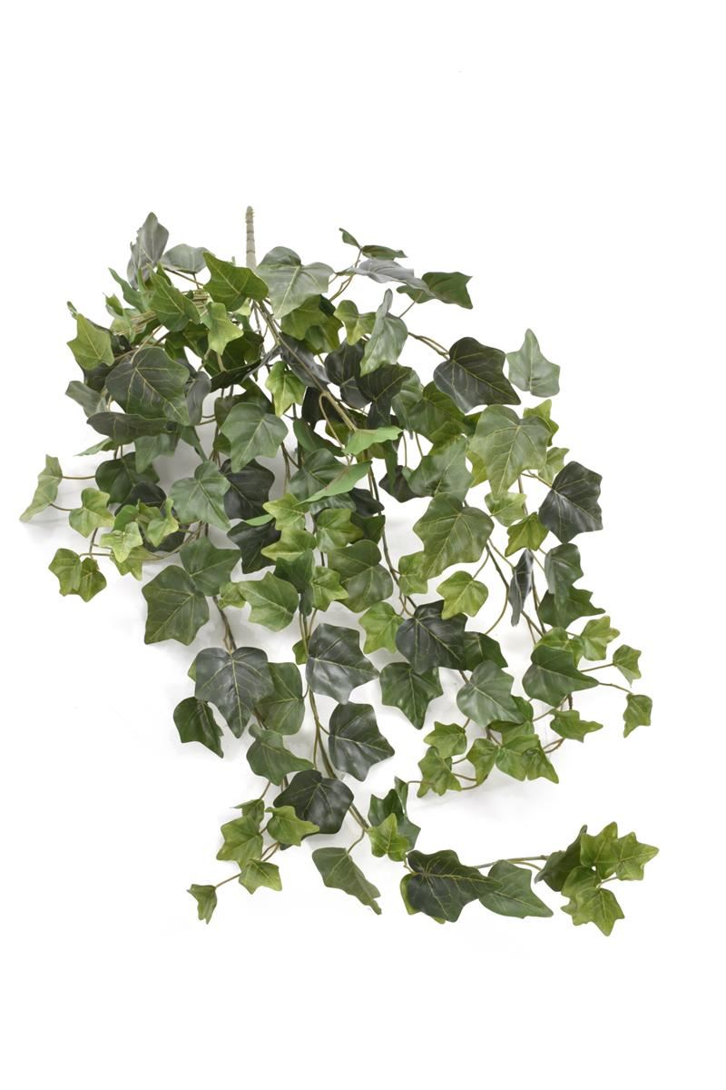 BLUSZCZ HEDERA 80CM HED2001 RT GREEN