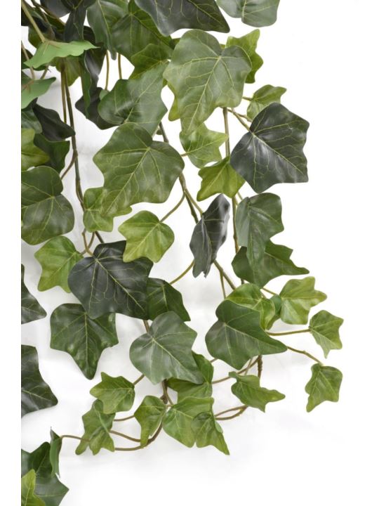 BLUSZCZ HEDERA 80CM HED2001 RT GREEN