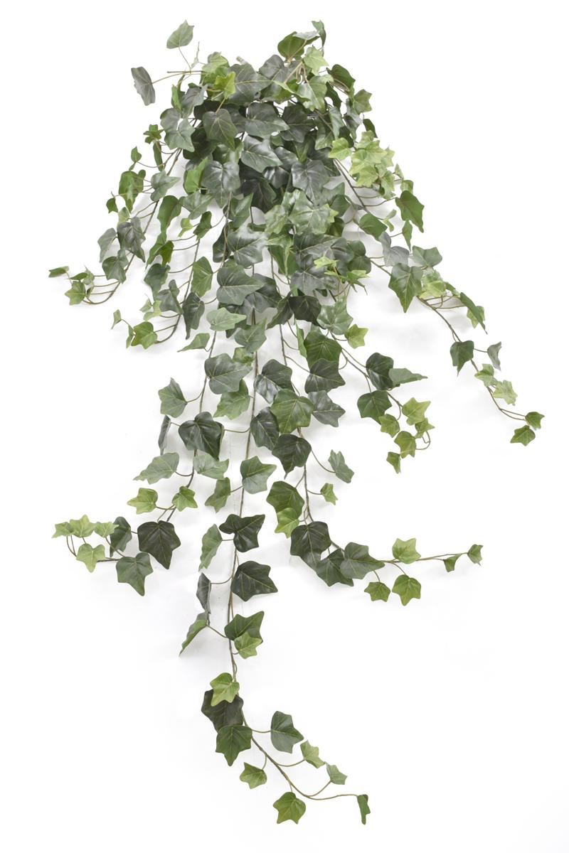 BLUSZCZ HEDERA 117CM HED2002 RT GREEN