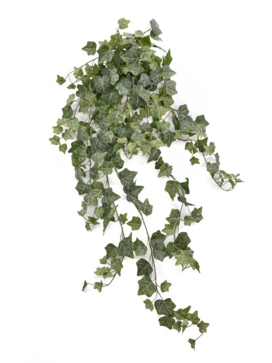 BLUSZCZ HEDERA 117CM HED2002 RT POWDER  GREEN
