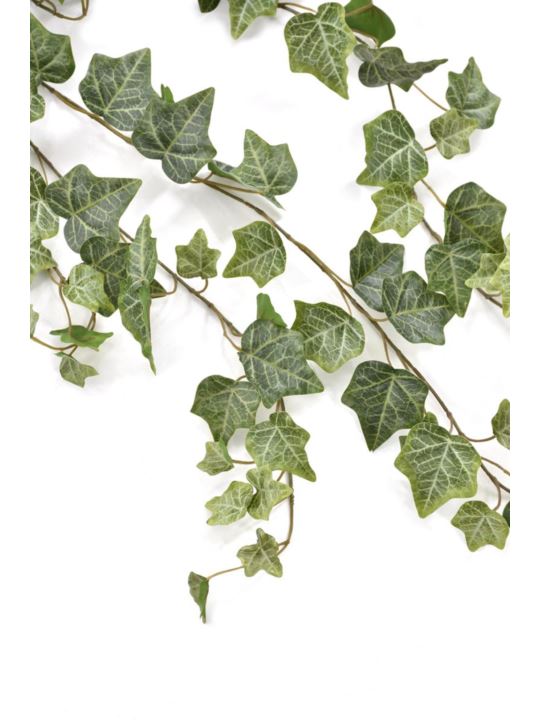 BLUSZCZ HEDERA 117CM HED2002 RT POWDER  GREEN