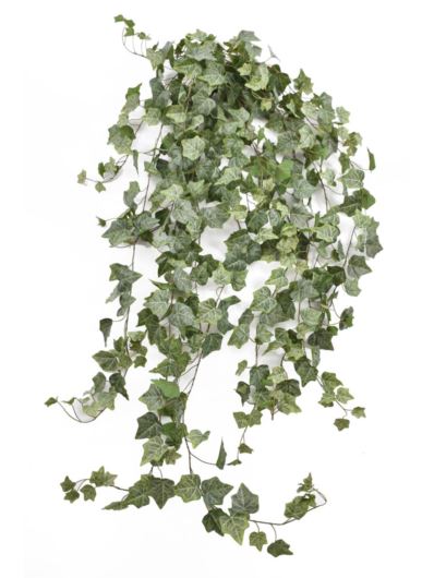 BLUSZCZ HEDERA 150CM HED2003 RT POWDER  GREEN