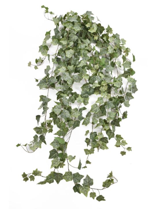 BLUSZCZ HEDERA 150CM HED2003 RT POWDER  GREEN