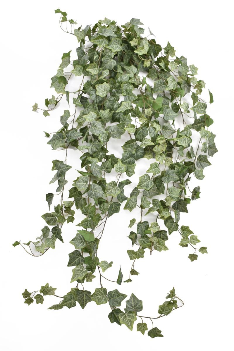 BLUSZCZ HEDERA 150CM HED2003 RT POWDER  GREEN