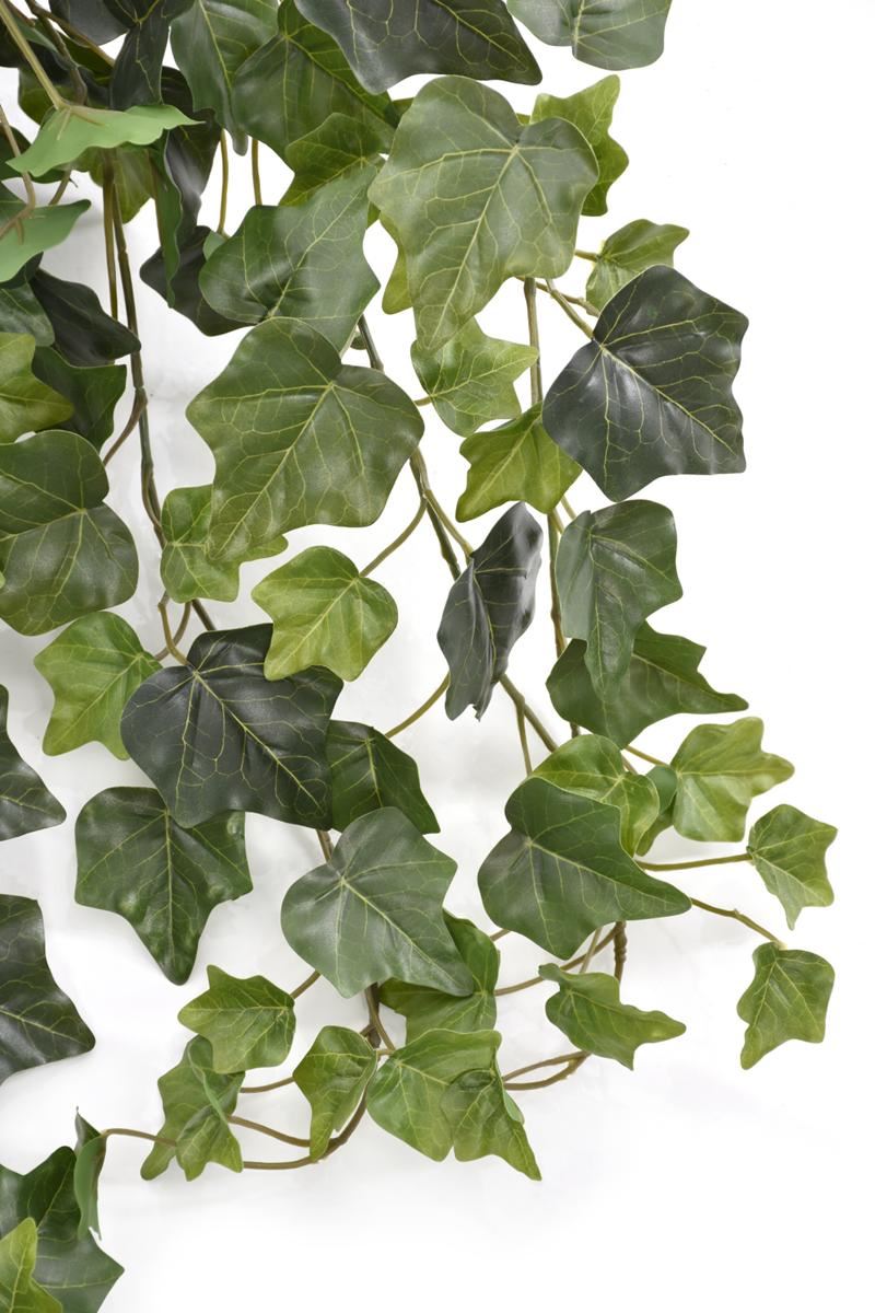 BLUSZCZ HEDERA 150CM HED2003 RT GREEN