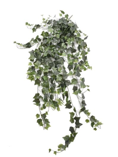 BLUSZCZ HEDERA 150CM HED2003 RT GREEN