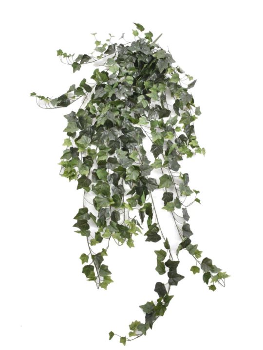 BLUSZCZ HEDERA 150CM HED2003 RT GREEN