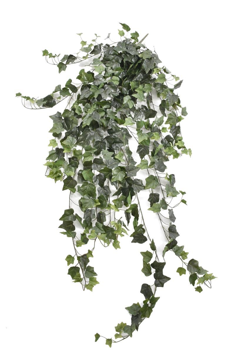 BLUSZCZ HEDERA 150CM HED2003 RT GREEN
