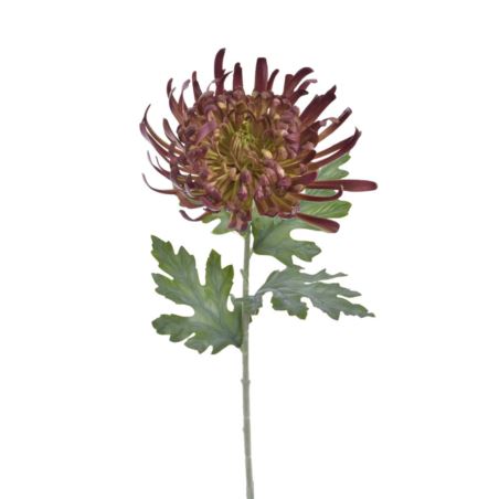 CHRYZANTEMA REAL TOUCH 76CM RT BURN GREEN