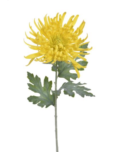 CHRYZANTEMA REAL TOUCH 76CM RT YELLOW