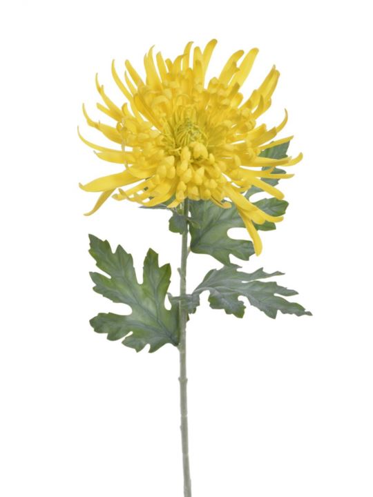 CHRYZANTEMA REAL TOUCH 76CM RT YELLOW
