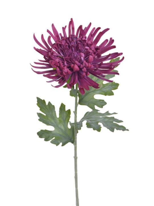 CHRYZANTEMA REAL TOUCH 76CM RT FUCHSIA