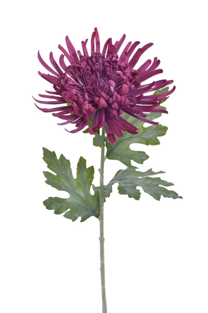 CHRYZANTEMA REAL TOUCH 76CM RT FUCHSIA
