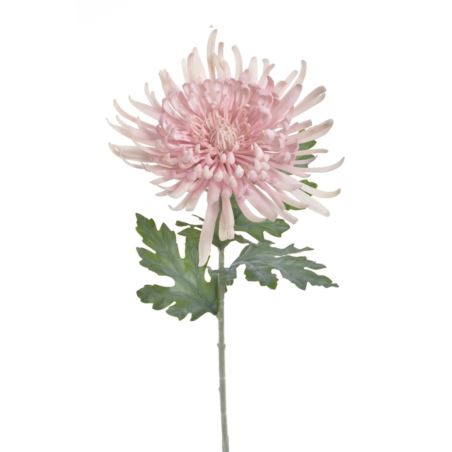 CHRYZANTEMA REAL TOUCH 76CM RT POWDER PINK