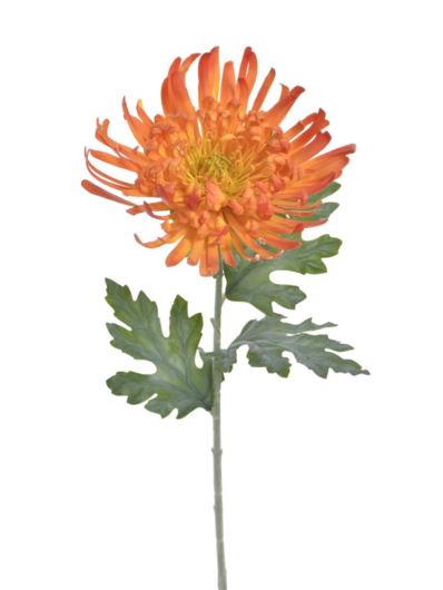 CHRYZANTEMA REAL TOUCH 76CM RT ORANGE