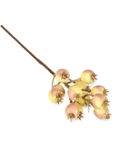 DZIKA RÓŻA GAŁĄZKA Z OWOCAMI 35CM OLD YELLOW