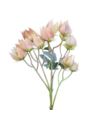 MIECHUNKA GAŁ. 55CM CV42188 OLD POWDER PINK