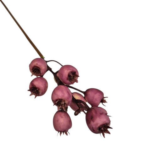 DZIKA RÓŻA GAŁ OWOCE 35CM CV42265 MAUVE VIOLET