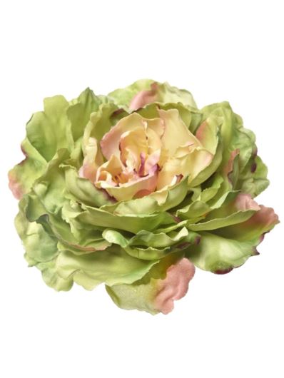 PEONIA GŁOWA 17CM ART060 GREEN EDGE BURGUNDY