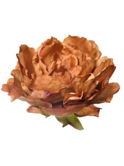 PEONIA GŁOWA 17CM ART060 HONEY
