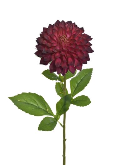 DALIA REAL TOUCH 69CM TPY3003 BURGUNDY