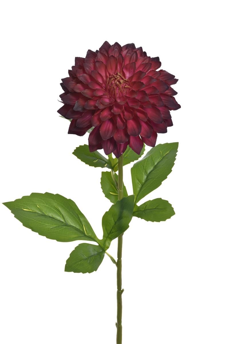 DALIA REAL TOUCH 69CM TPY3003 BURGUNDY