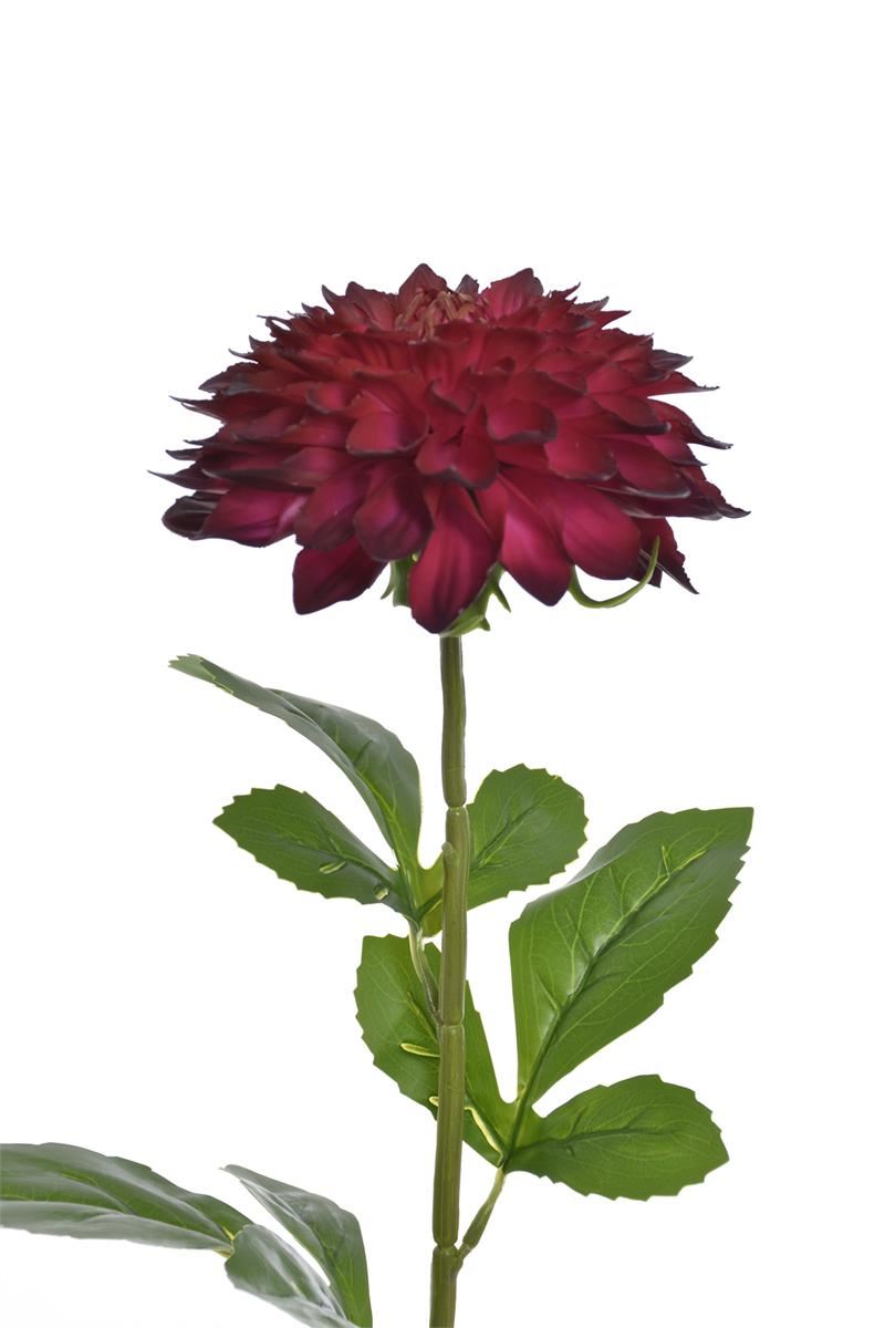 DALIA REAL TOUCH 69CM TPY3003 BURGUNDY