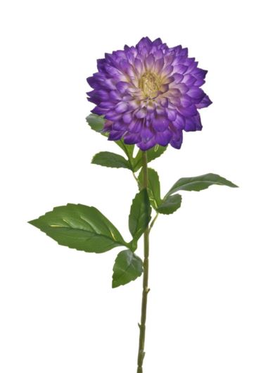 DALIA REAL TOUCH 69CM TPY3003 ULTRA VIOLET