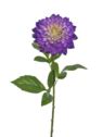 DALIA REAL TOUCH 69CM TPY3003 ULTRA VIOLET