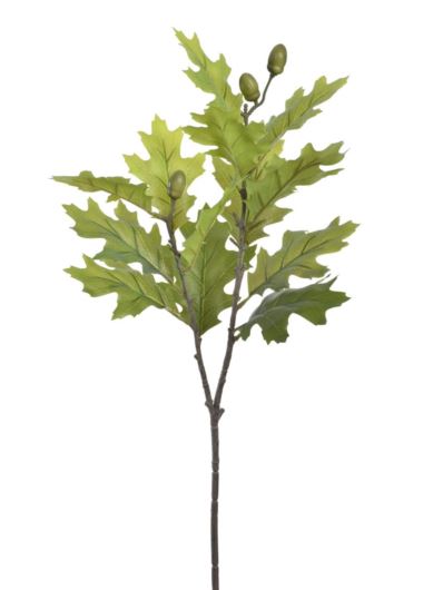 DĄB GAŁĄZKA Z ŻOŁĘDZIAMI 68CM  MAG1024 GREEN