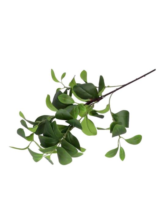 GAŁĄŻKA CYTRUSOWA LIŚĆ MANDARYNKA 90CM RT GREEN