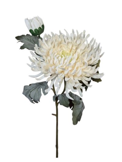 CHRYZANTEMA PŁASKA GAŁĄZKA KWIAT+PĄK 78CM WH CRM