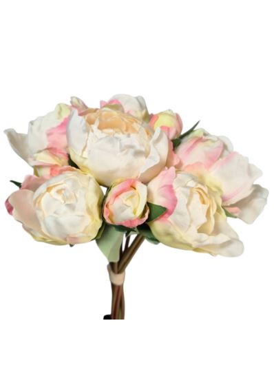 PEONIA PĘCZEK 36CM 9 KWIATÓW CV40939 CREAM LT PINK