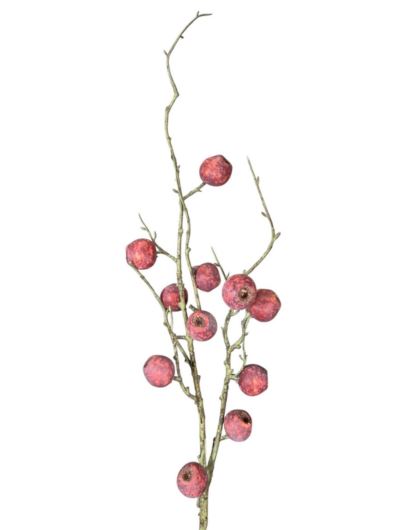 GAŁĄZKA Z OWOCAMI 80CM CV40690 OLD RED CORAL
