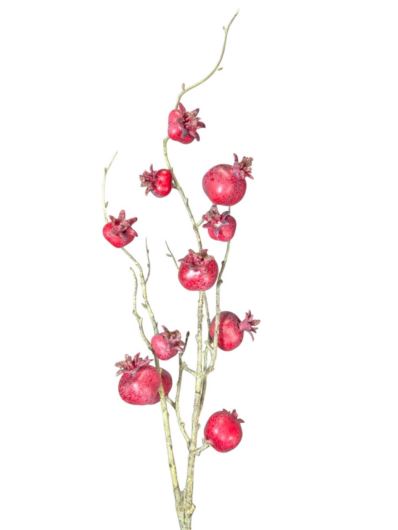 DZIKA RÓŻA GAŁ. Z OWOCAMI 78CM CV41984 RED