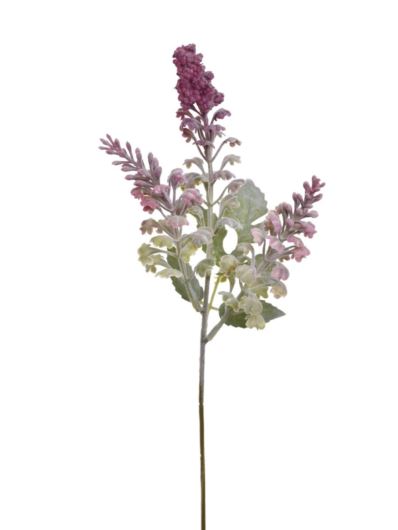 BUDLEJA NA PIKU 47CM ALI2001 BEAUTY