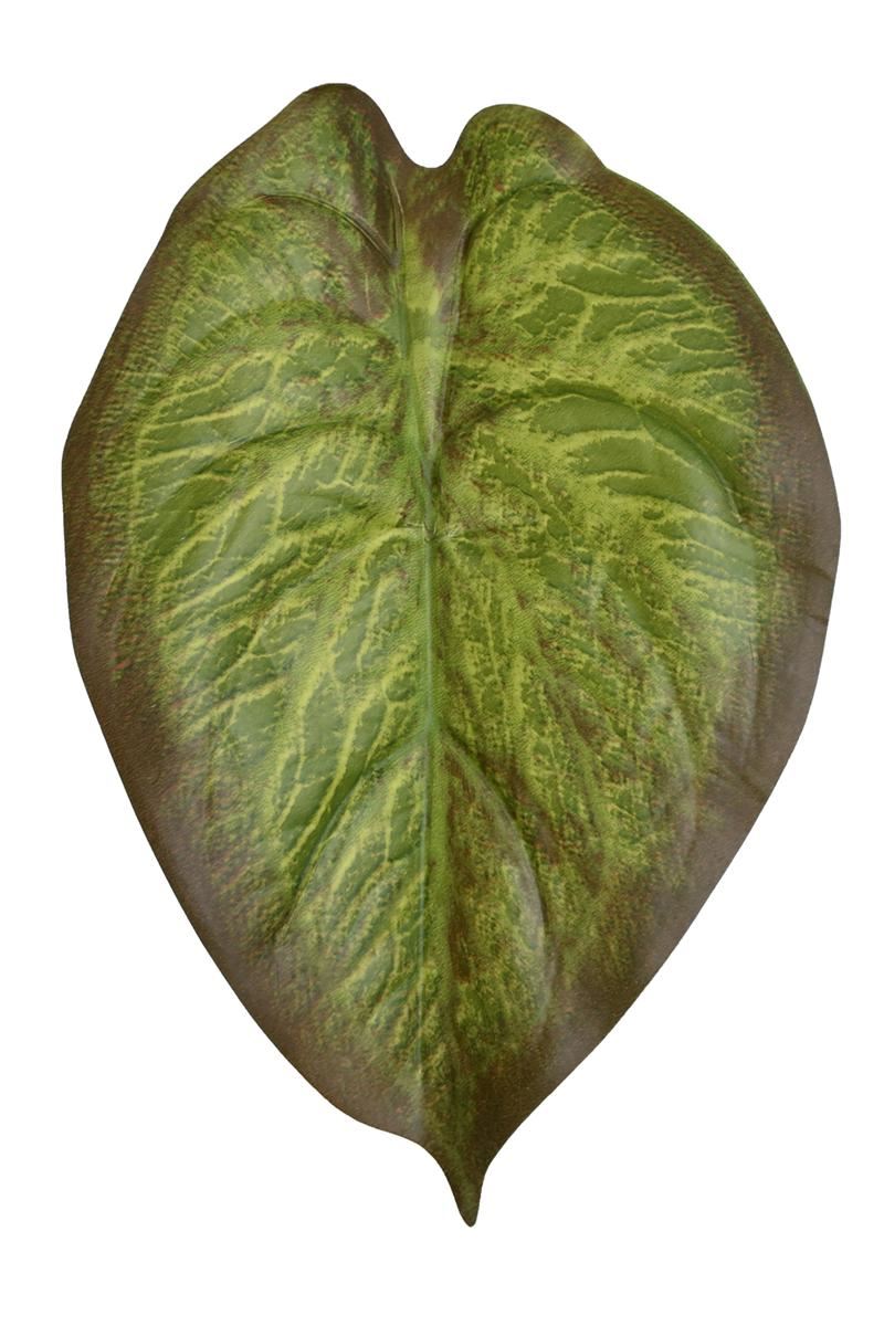 LIŚĆ ALOKAZJA 23CM JUN107 RT GREEN BROWN