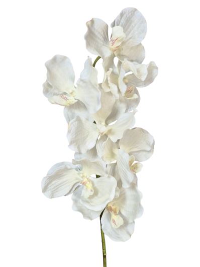 STORCZYK VANDA 80CM 7 KWIATÓW RT CREAM WHITE