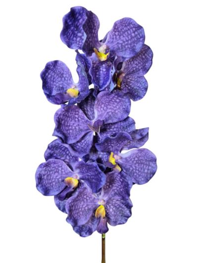 STORCZYK VANDA 80CM 7 KWIATÓW RT DK PURPLE
