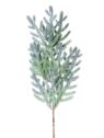 ŚWIERK DROBNY GAŁĄZKA 48CM CV41398 POWDER GREEN