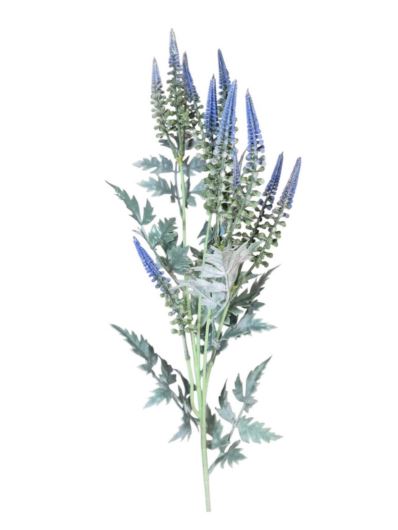 SZAŁWIA WRZOSIEC GAŁĄZKA 80CM BLUE