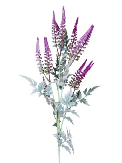 SZAŁWIA WRZOSIEC GAŁĄZKA 80CM PURPLE
