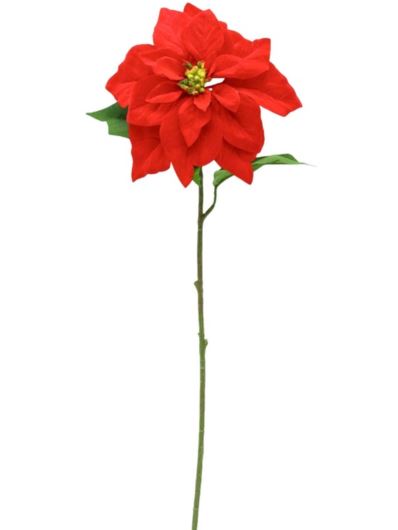 POINSECJA POJEDYNCZA WELUR 70CM VELVET RED